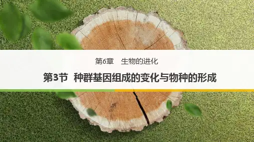人教版必修二6.3 种群基因组成的变化与物种的形成(共17张PPT)