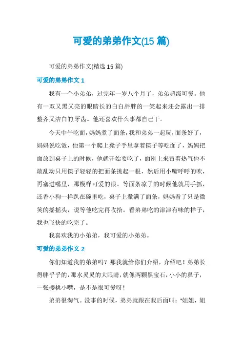 可爱的弟弟作文(15篇)