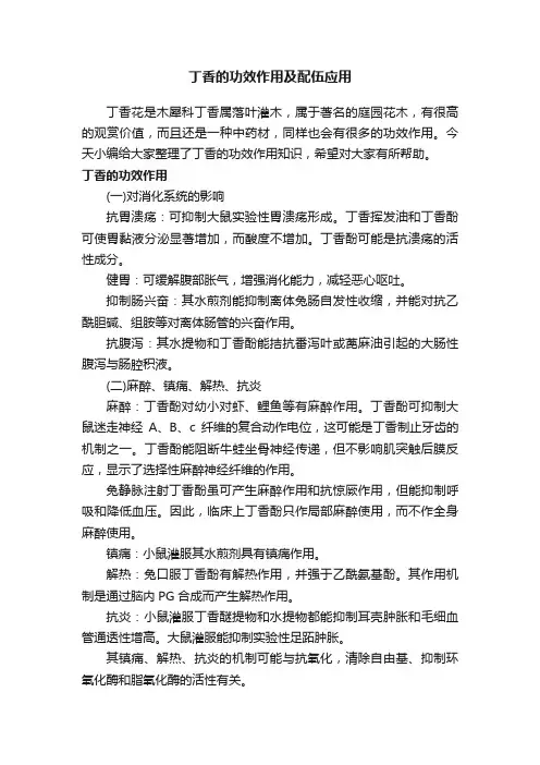 丁香的功效作用及配伍应用
