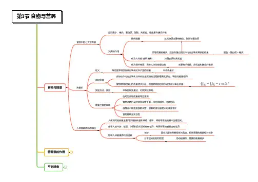 代谢与平衡-2020-2021学年九年级科学章节知识框架思维导图(浙教版)