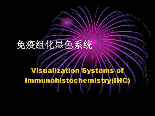 免疫组化显色系统-PPT精品文档