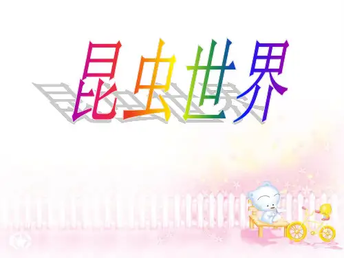 《昆虫世界》PPT课件