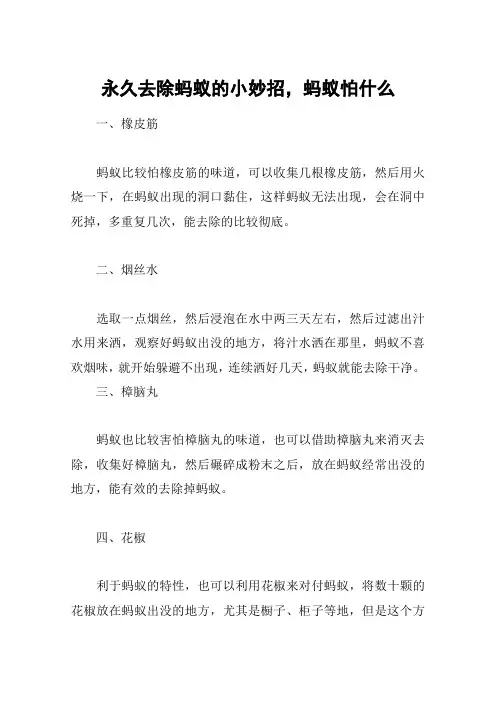 永久去除蚂蚁的小妙招,蚂蚁怕什么