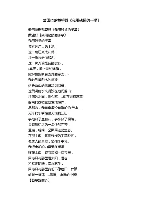 爱国诗歌戴望舒《我用残损的手掌》