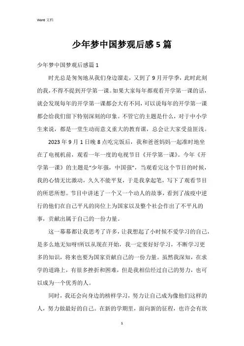 少年梦中国梦观后感5篇