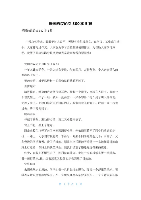 爱国的议论文800字5篇