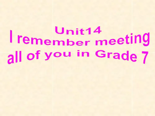 九年级英语全册 Unit 14 I remember meeting all of y