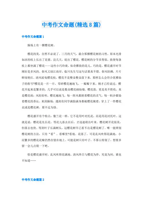 中考作文命题(精选8篇)