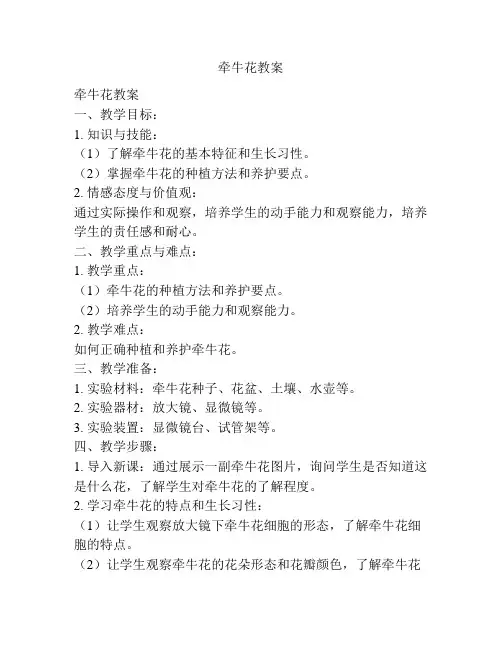 牵牛花教案