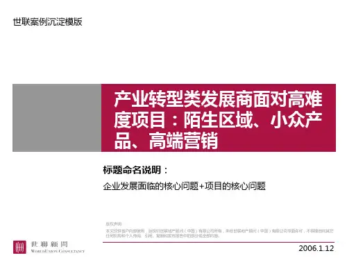 世联营销服务经典案例PPT课件