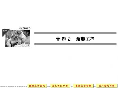 高中生物必修3课件：2-1-1植物细胞工程的基本技术(选修3)