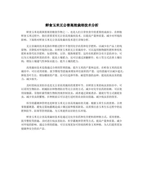 鲜食玉米无公害高效栽培技术分析