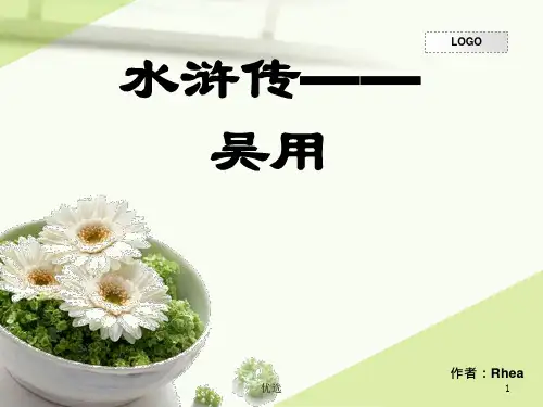 吴用归纳.ppt