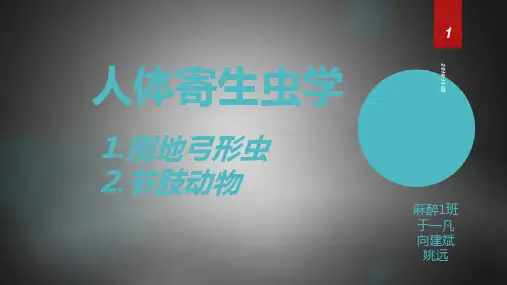 寄生虫---弓形虫PPT课件