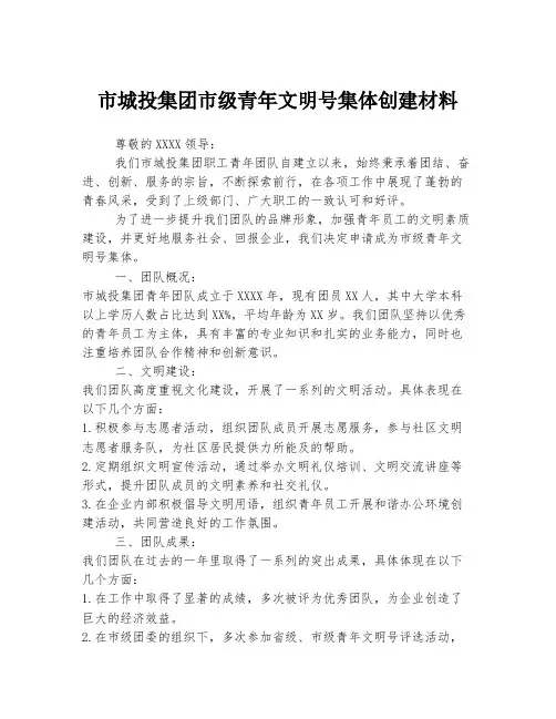 市城投集团市级青年文明号集体创建材料