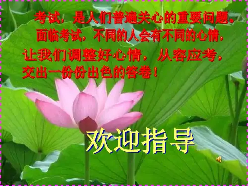 考试的心情ppt优秀课件1 教科版PPT课件