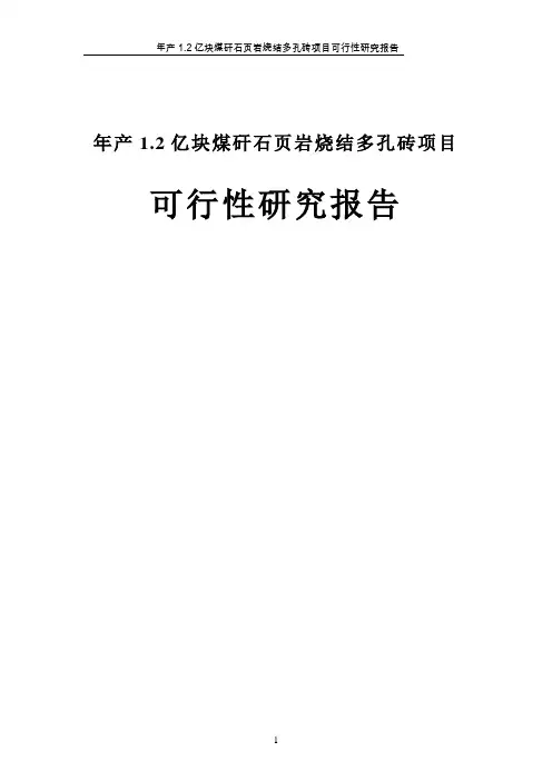 年产1.2亿块煤矸石页岩烧结多孔砖项目可行性研究报告 (2)