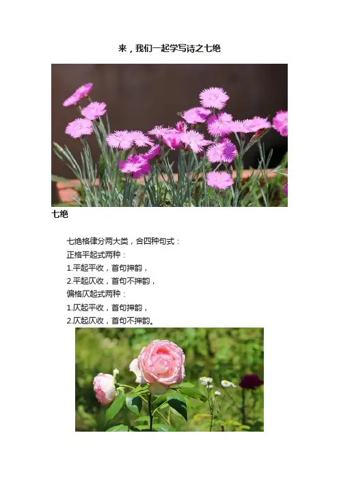 来，我们一起学写诗之七绝