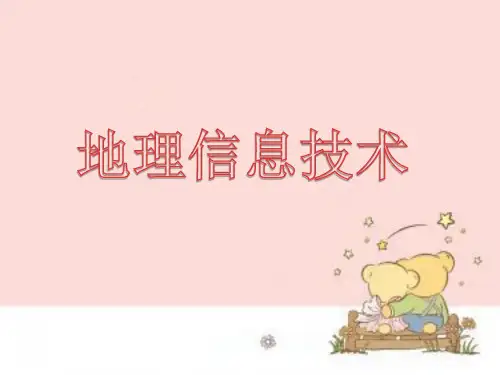 地理信息技术