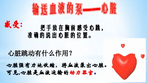 人教版初一七年级生物 心脏 名师教学PPT课件