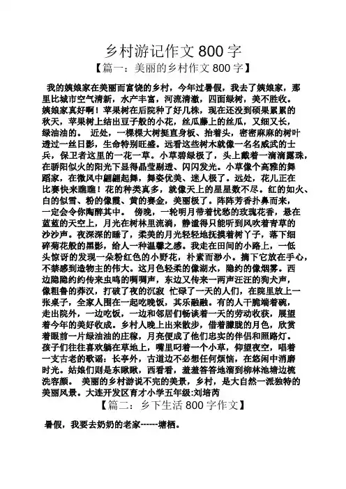 乡村作文之乡村游记作文800字