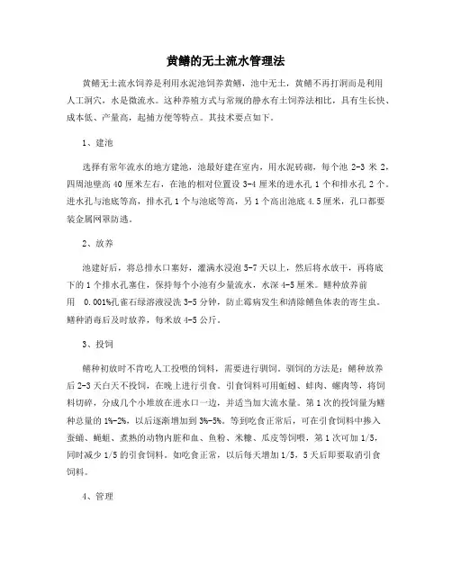 黄鳝的无土流水管理法