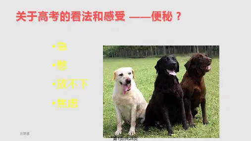 高三主题班会课件走进高三PPT课件