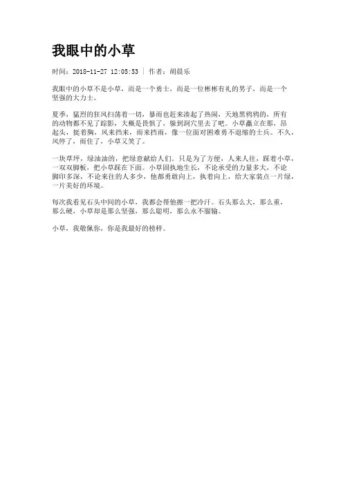我眼中的小草