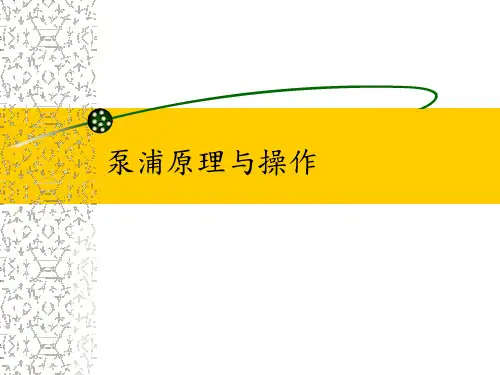 泵浦原理与操作