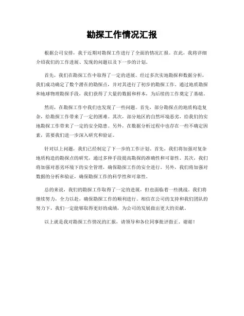 勘探工作情况汇报