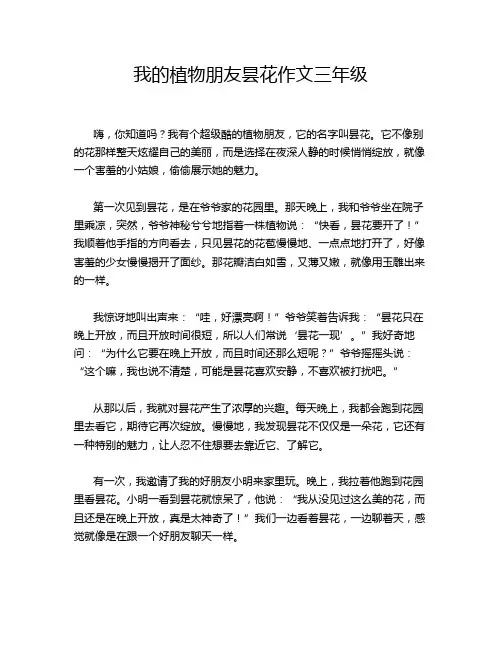 我的植物朋友昙花作文三年级
