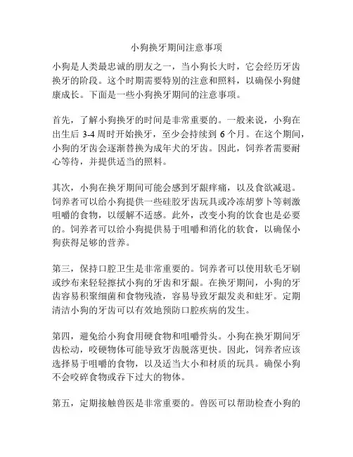 小狗换牙期间注意事项