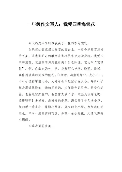 一年级作文写人：我爱四季海棠花