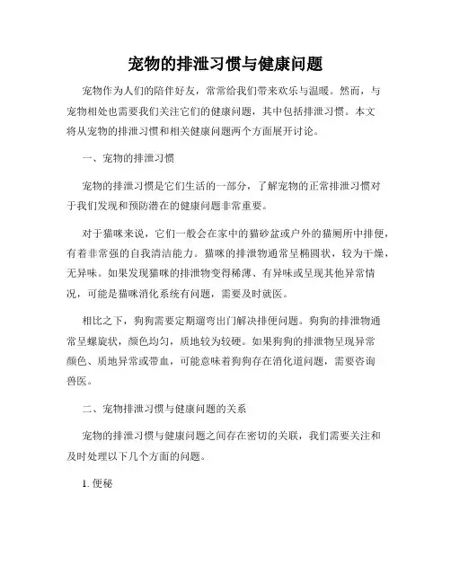 宠物的排泄习惯与健康问题