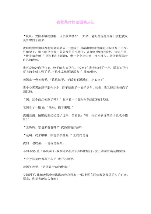 我收菜时的菜园快乐记