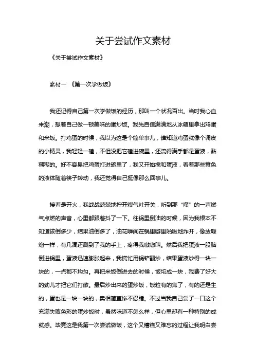 关于尝试作文素材