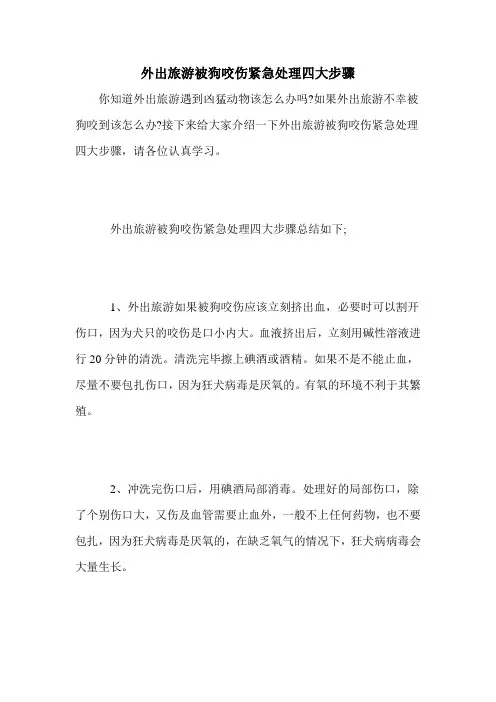 外出旅游被狗咬伤紧急处理四大步骤
