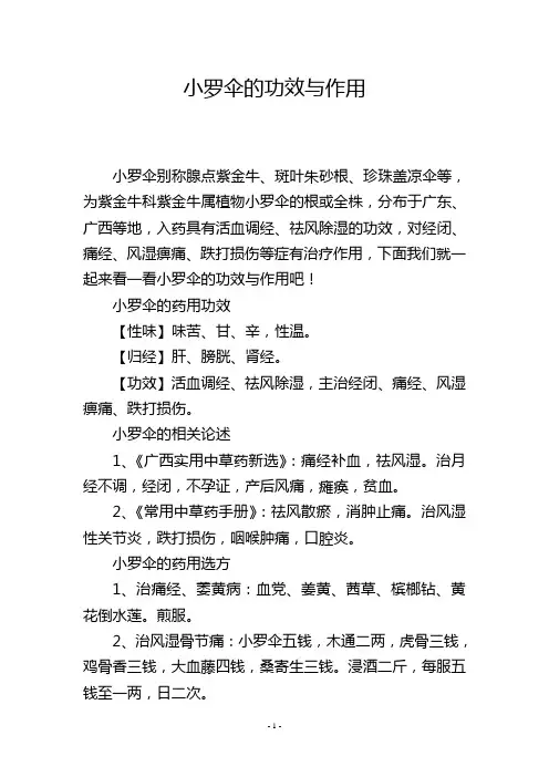 小罗伞的功效与作用