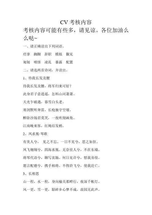 CV考核