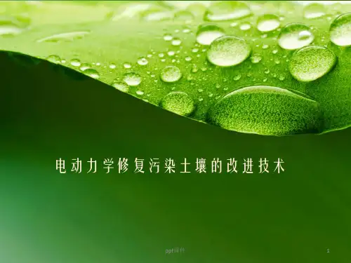 电动力学修复污染土壤的改进技术  ppt课件