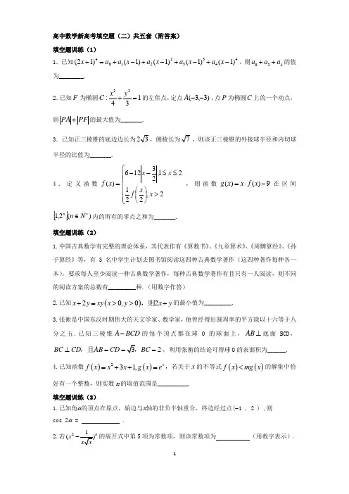 高中数学新高考填空题训练(二)共五套(附答案)
