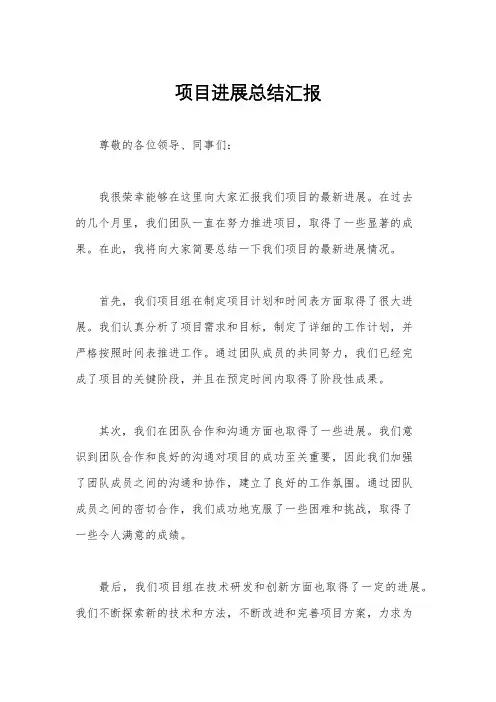 项目进展总结汇报