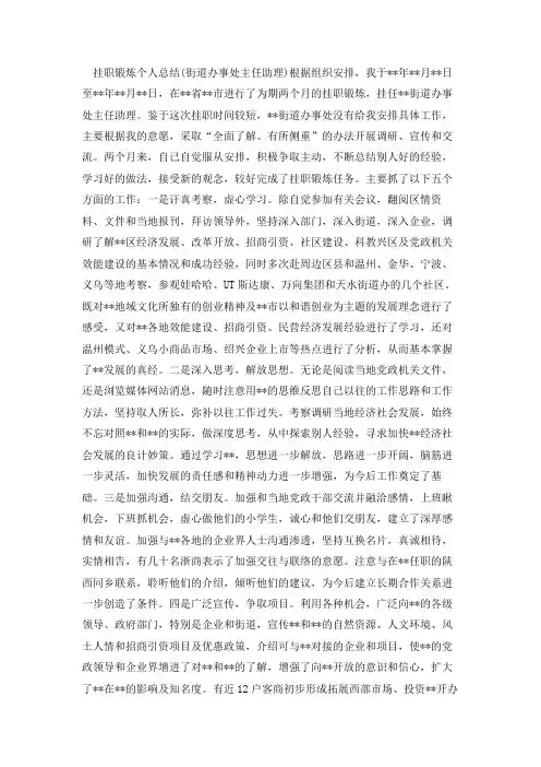 挂职锻炼个人工作总结