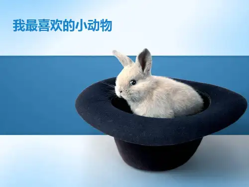 苏教版小学三年级语文 我最喜欢的动物ppt