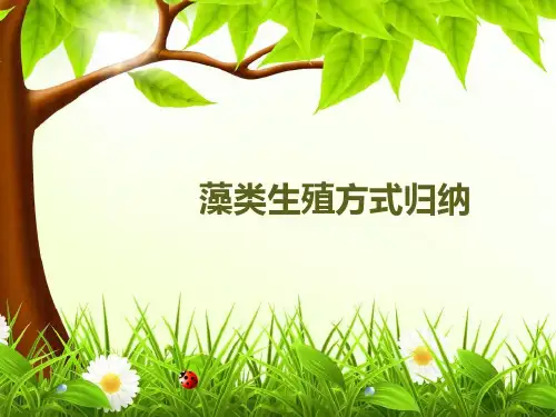藻类生殖方式归纳.