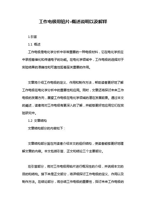 工作电极用铂片-概述说明以及解释