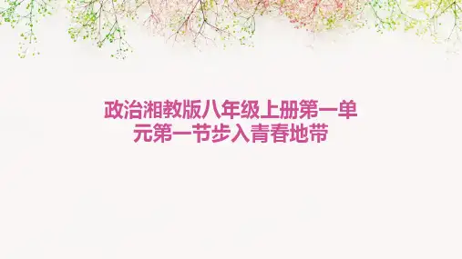 政治湘教版八年级上册第一单元第一节步入青春地带