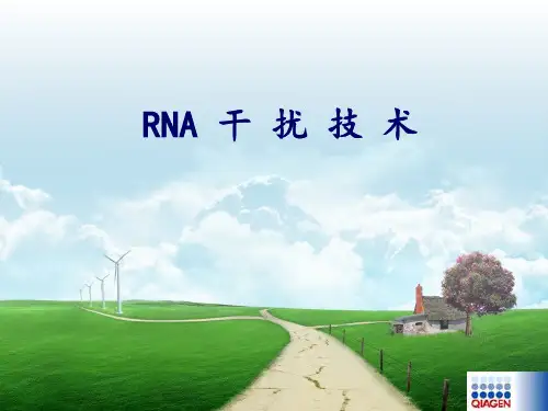 RNA干扰技术