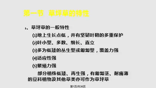 草坪草的特征与特性PPT课件