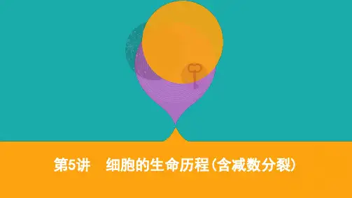 2020届高考生物课标版二轮课件：专题三第5讲 细胞的生命历程(含减数分裂) 